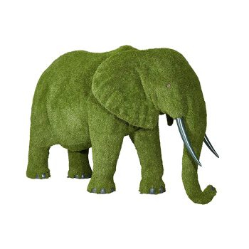 Elephant ゾウ