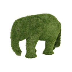 Elephant ゾウ